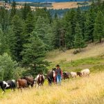 Cowboy country in British Columbia: a taste of pioneer days with a ranch stay