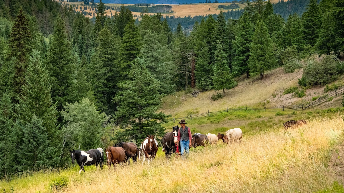 Cowboy country in British Columbia: a taste of pioneer days with a ranch stay