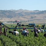 The legal loopholes that threaten farmworkers’ health and safety