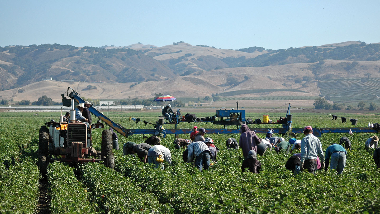 The legal loopholes that threaten farmworkers’ health and safety