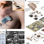 A fully integrated wearable ultrasound system to monitor deep tissues in moving subjects