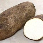 Reasons Why People Who Are Suffering From High Blood Sugar Should Eat Yam Regularly