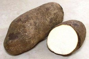 Reasons Why People Who Are Suffering From High Blood Sugar Should Eat Yam Regularly