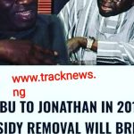 THROWBACK: Tinubu To Jonathan in 2012, Subsidy Removal Will Bring Hardship On The People.