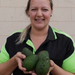 3,000kg of avocados rejected by supermarkets saved from landfill by caring Queenslanders