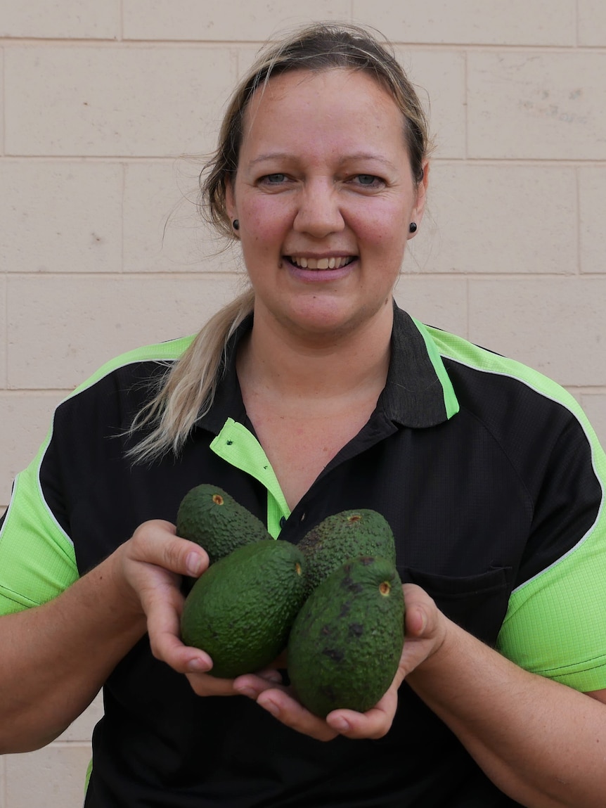 3,000kg of avocados rejected by supermarkets saved from landfill by caring Queenslanders