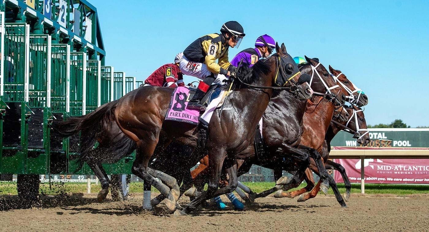 2023 Royal Ascot odds, horses, field: Expert who nailed Preakness exacta reveals Tuesday, June 20 picks