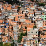 Plant-covered roofs could help chill Brazil’s heat-stricken favelas