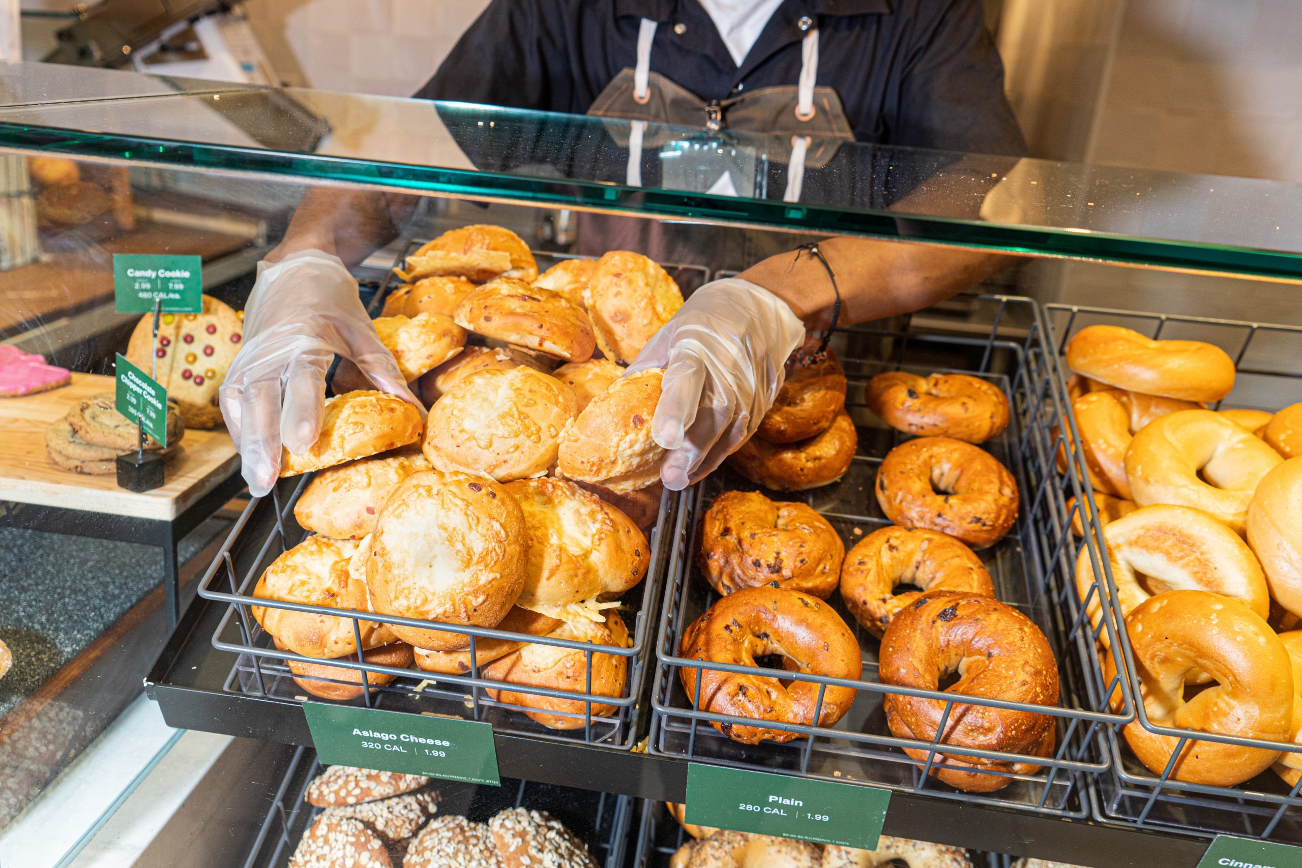 Bagels From Chains Like Panera and Einstein’s Won’t Win Awards. They’re Still Worth Loving