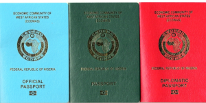 What Are the Different Types of Nigerian International Passports?