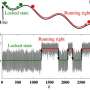 Active Brownian particles have four distinct states of motion, researchers find