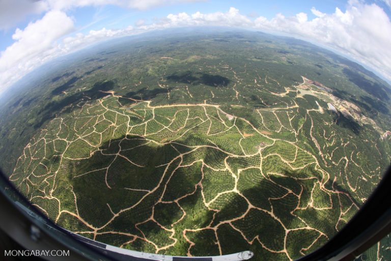 Indonesia, Malaysia deploy ministers to push back on EU palm oil restrictions