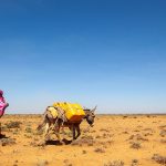 Governments fall short in UN’s East Africa drought appeal