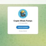 Introducing Crypto Whale Pumps: Your Go-To Signals Provider for Shitcoin Trends