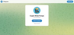 Introducing Crypto Whale Pumps: Your Go-To Signals Provider for Shitcoin Trends