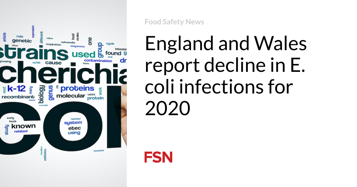 England and Wales report decline in E. coli infections for 2020