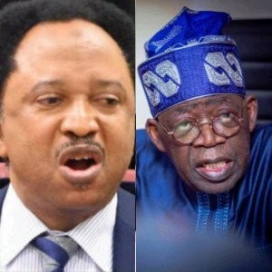 BREAKING: Shehu Sani responds to footage of Tinubu’s presidential convoy, which includes around 100 vehicles