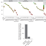 Inferring cell–cell communication at single-cell resolution