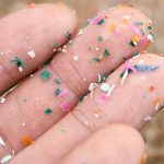 Microplastics are everywhere. What does that mean for our immune systems?