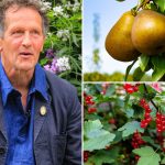 Monty Don’s four tips on how to keep your favourite plants & trees returning year after year – & what needs pruning now