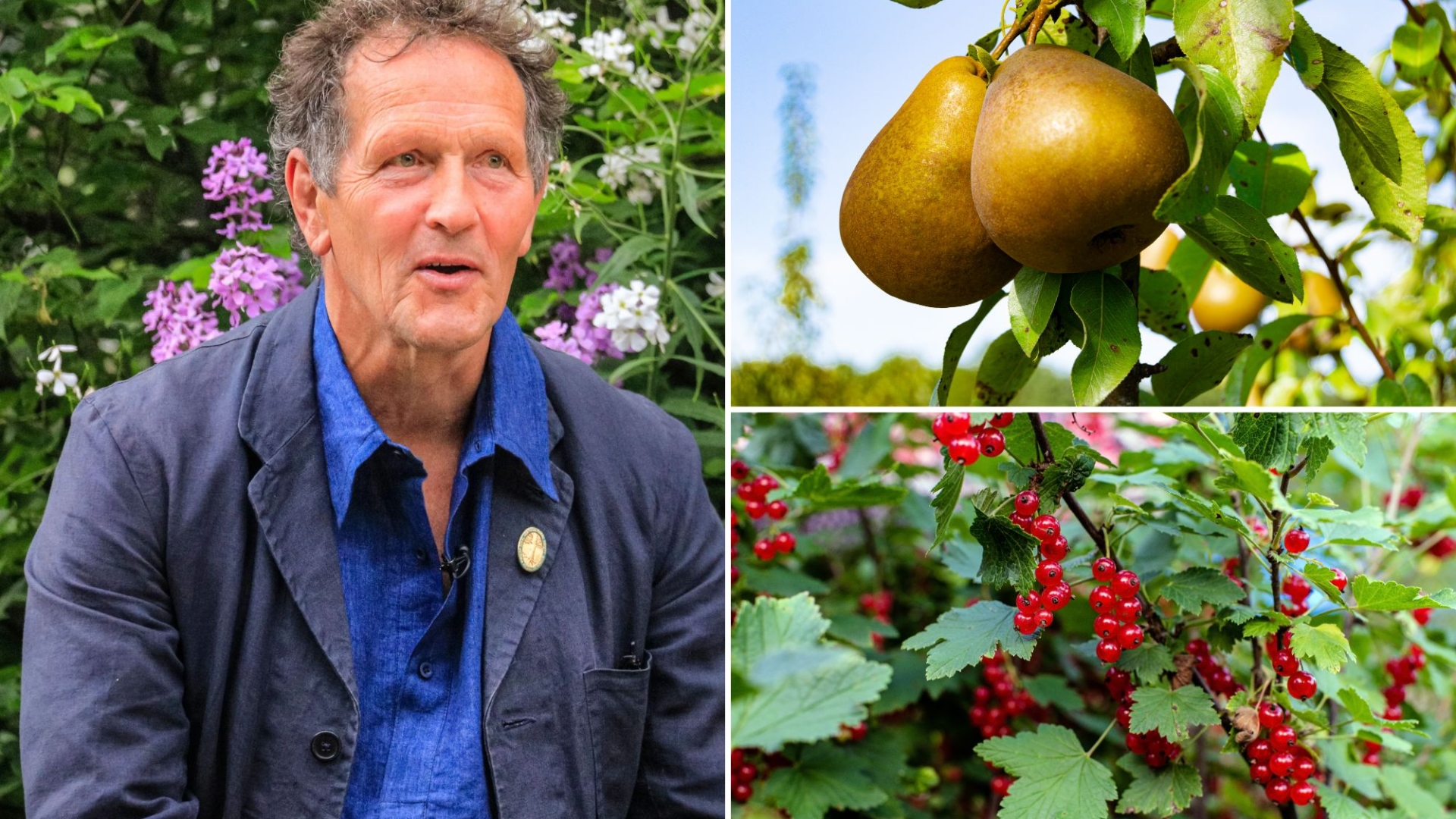 Monty Don’s four tips on how to keep your favourite plants & trees returning year after year – & what needs pruning now