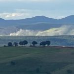 Australia’s largest gold mine admits to dust pollution as neighbours fear health impacts