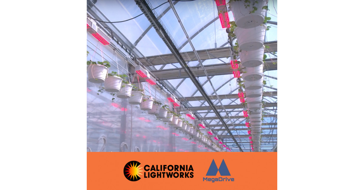 Nourse Farms Adopts California LightWorks MegaDrive LED System to Maximize Year-Round Berry Production