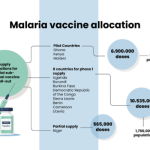 Nigeria eyes malaria vaccine consignment at WHO’s second window