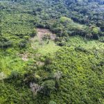 Tap African knowledge and culture for Congo Basin forest conservation (commentary)