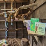 Europe’s oldest lar gibbon Brian celebrates 60th Birthday