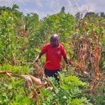 Africa’s land and forest restoration initiative gathers pace in Malawi