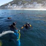 Archaeologists Think They’ve Found Wreckage of US Ship That Held 500 Slaves