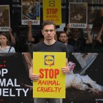 Lidl Chicken Farmer Joins Protests At Its Stores Following Undercover Abuse Video