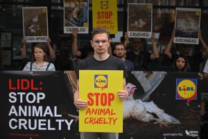 Lidl Chicken Farmer Joins Protests At Its Stores Following Undercover Abuse Video