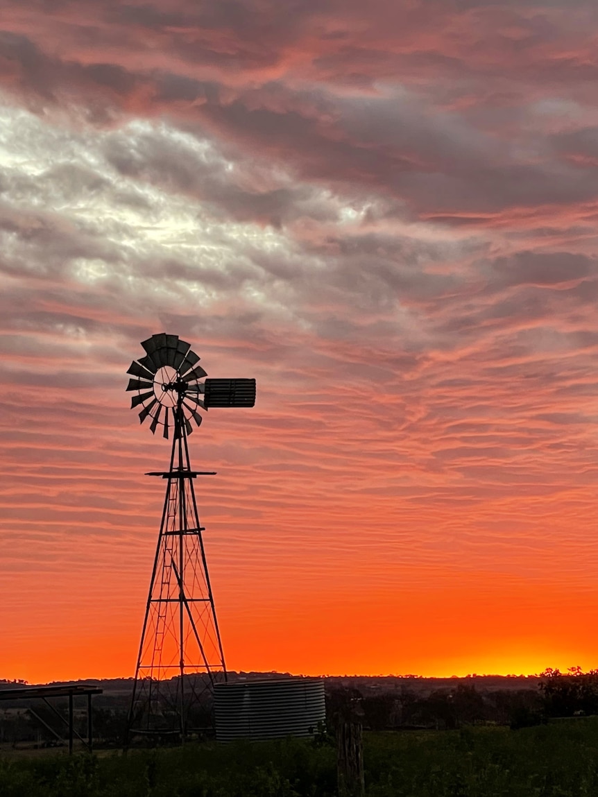 Could more city doctors doing a stint in mobile clinics help solve rural Australia’s health crisis?