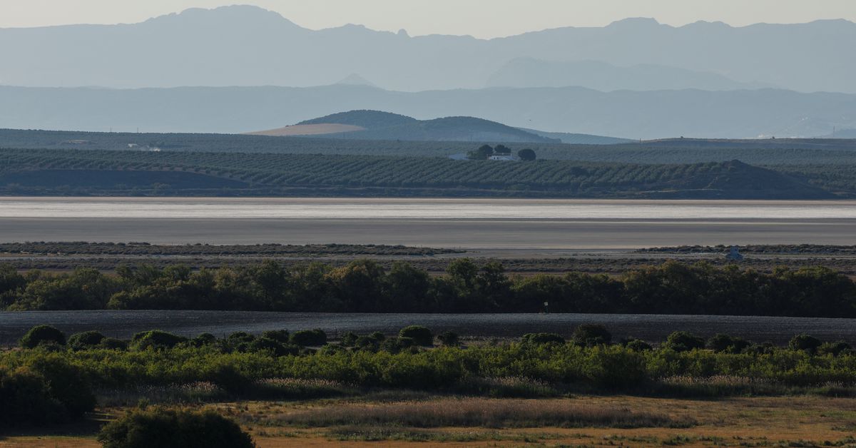 Spanish lagoon popular with breeding flamingos dries up as drought persists