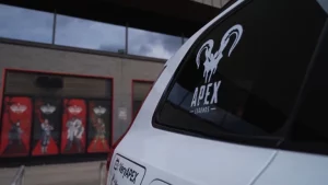 Apex Legends fan travels over 7,000 miles by car to attend ALGS playoffs