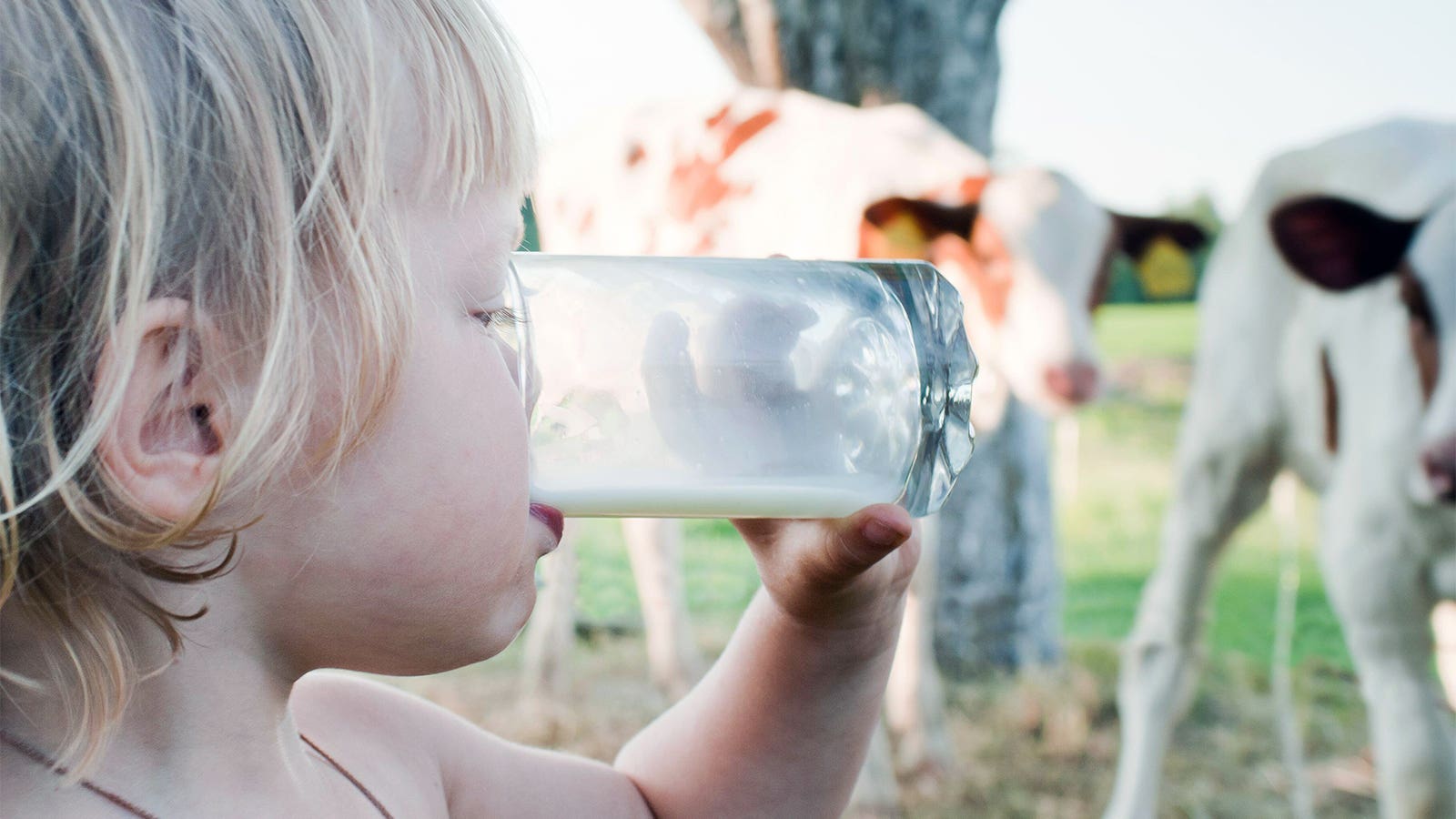 Here’s Why Raw Milk Is Risky for Kids