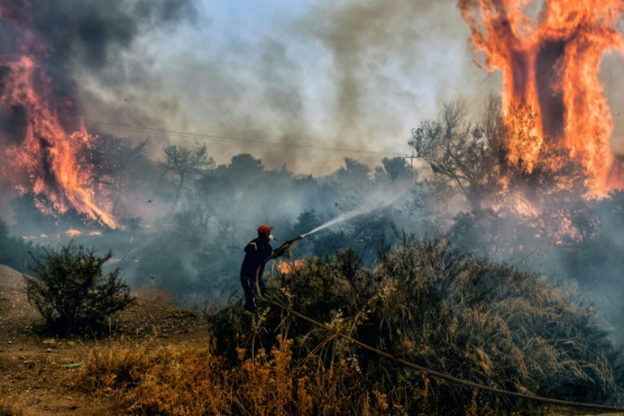 A roundup of the extreme heat hitting the globe