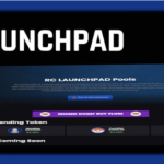 RCS Launchpad: Empowering Innovation in the Crypto Space