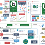 Democratizing knowledge representation with BioCypher