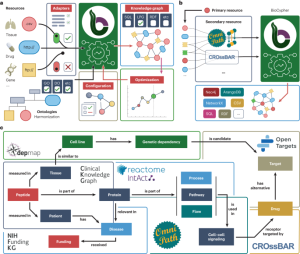 Democratizing knowledge representation with BioCypher