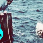 Why the creators of ‘Jaws’ regretted making sharks the monsters