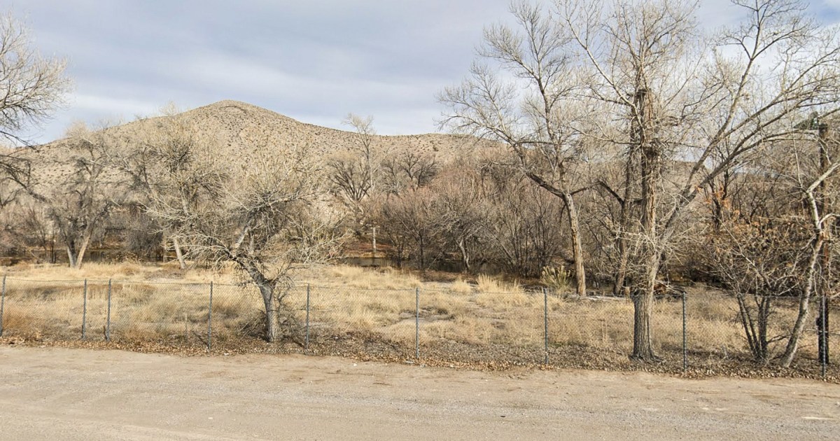 2-year-old Nevada boy dies from brain-eating amoeba after visit to hot spring