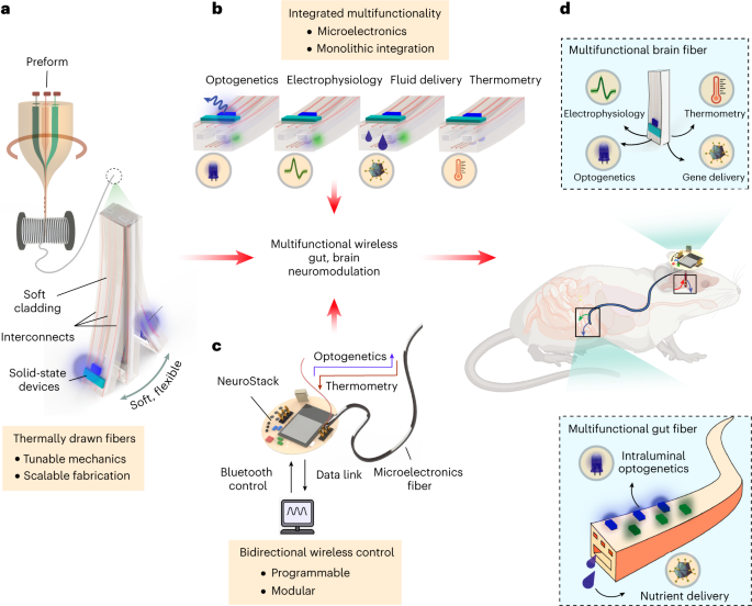 Multifunctional microelectronic fibers enable wireless modulation of gut and brain neural circuits