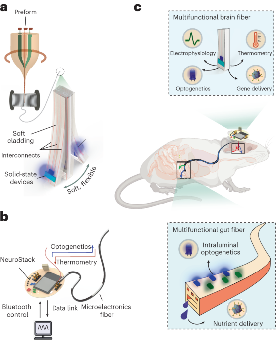 Wireless microelectronic fibers to discover gut and brain pathways