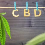 The Science Behind CBD: How It Interacts With the Human Body