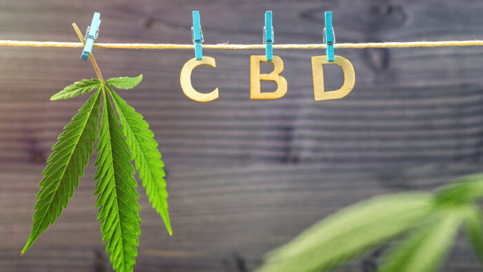 The Science Behind CBD: How It Interacts With the Human Body