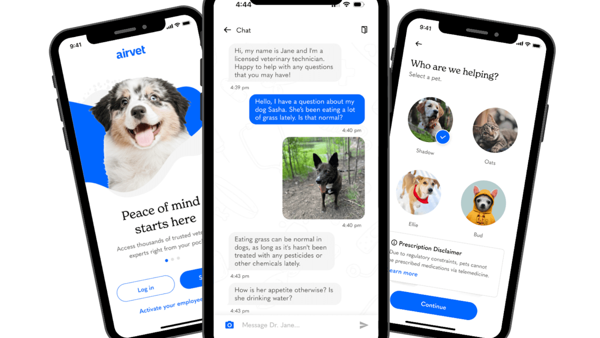 Pet telehealth company Airvet closes on $18.2M to embark on enterprise focus