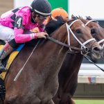 2023 Haskell Stakes Picks & Trifecta Best Bet: Salute The Stars To Shine For Cox